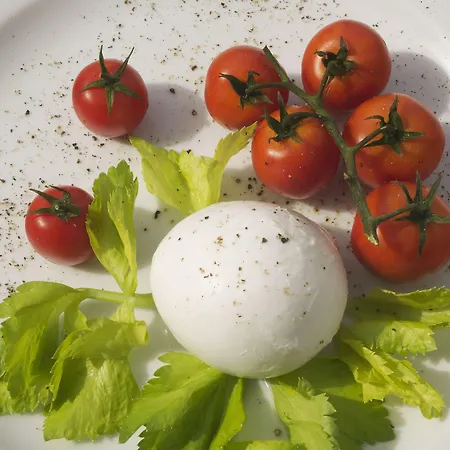 מלון Novotel Sud 4*